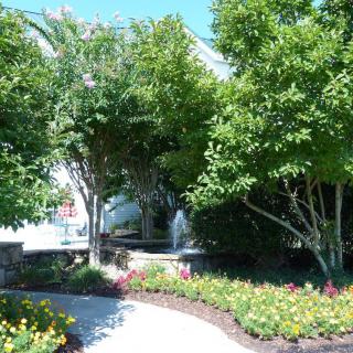 A serene garden with a curved pathway lined by trees and colorful flowers.