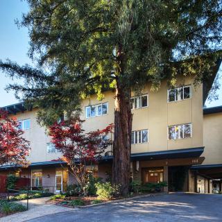 A multi-story building surrounded by tall trees and landscaped greenery.