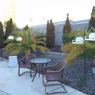 An outdoor patio area with wicker chairs and a glass-top table, surrounded by potted plants.
