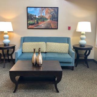 A cozy living room setup with a blue sofa, stylish table, and decorative lamps.