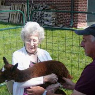 An elderly woman and a man holding an alpaca outdoors near a fence.