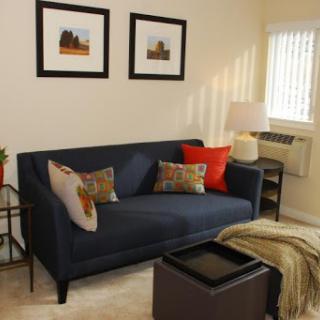 A cozy living room featuring a modern navy sofa with decorative pillows, framed artwork on the walls, and a warm ambiance.