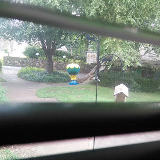 A view of a tranquil garden featuring a colorful bird feeder and lush trees.