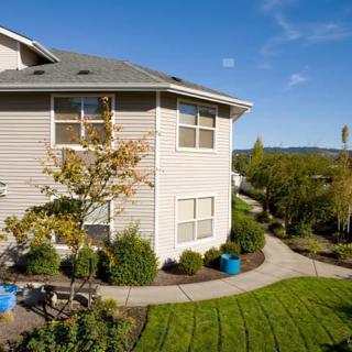 A well-maintained suburban house surrounded by a landscaped garden and a pathway on a sunny day.