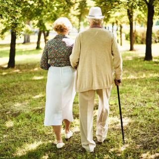 An elderly couple walking together in a park, surrounded by trees.