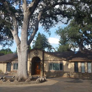 A charming house surrounded by large trees in a suburban setting.