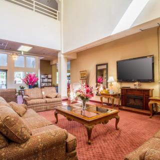 A spacious, well-lit living room with elegant furnishings and decor.