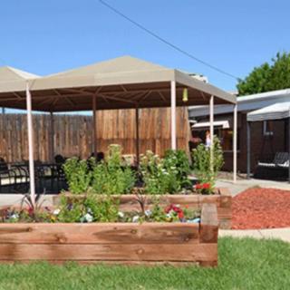 A well-maintained outdoor patio with a pergola and raised garden beds filled with plants.