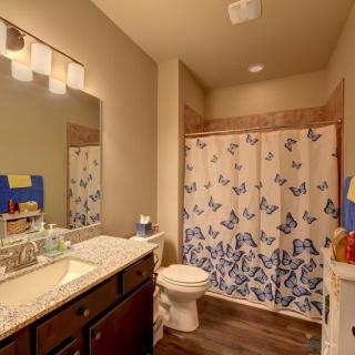 A cozy bathroom with a butterfly-themed shower curtain and warm lighting.