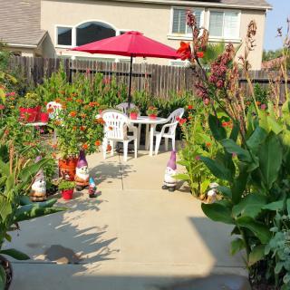 A cozy backyard patio with chairs, a table under a red umbrella, surrounded by lush plants and garden gnomes.