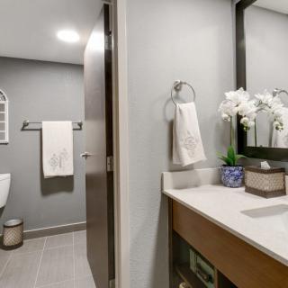 A modern bathroom with a sleek sink, large mirror, and elegant decor.