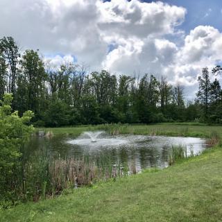 A serene pond with a fountain surrounded by trees under a cloudy sky.
