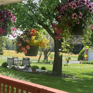 A serene garden view with vibrant hanging flowers and a cozy seating area.