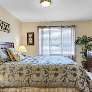 A cozy and well-lit bedroom featuring a bed with patterned bedding, side lamp, window with drapes, and potted plant.