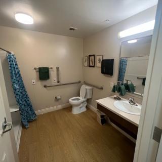 An accessible bathroom featuring a toilet, sink with mirror, and a shower area equipped with safety grab bars and a blue shower curtain.