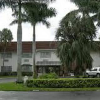 A tropical landscape featuring a building entrance surrounded by palm trees.