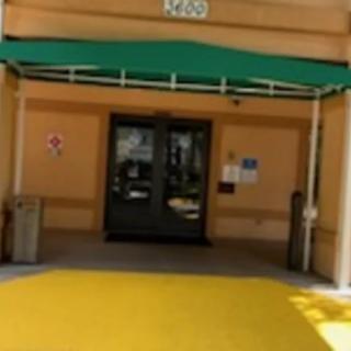 The entrance of a building with a green awning and double doors, featuring a bright yellow walkway.
