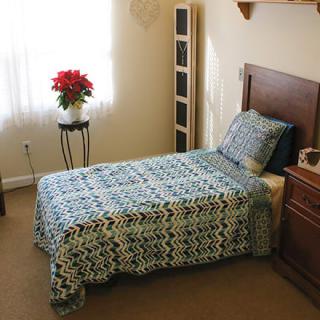 A cozy bedroom with a single bed covered in a patterned bedspread, a small table with a potted plant, and natural light coming through the window.
