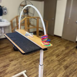 A balance training apparatus commonly used in rehabilitation therapy.
