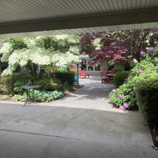 A serene garden with lush greenery and a pathway leading to a cozy seating area.