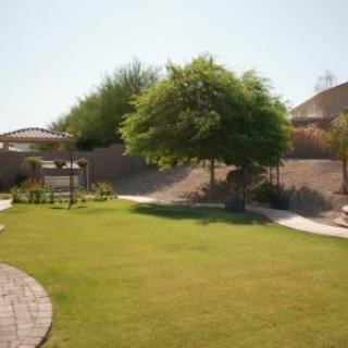 A landscaped backyard featuring a lush lawn, trees, and a curved pathway.