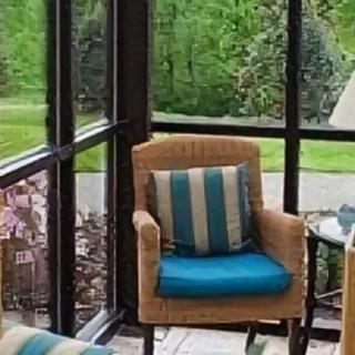 A cozy patio chair with blue cushions overlooking a lush garden.