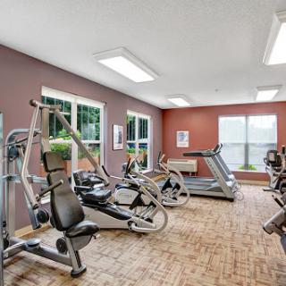 A modern gym equipped with various exercise machines and natural light.