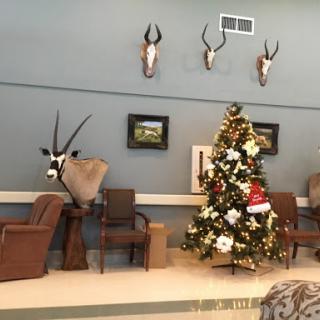 A cozy living room decorated for Christmas, featuring a beautifully adorned tree and unique antler decor.