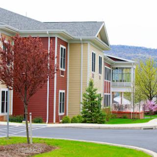 A modern residential building surrounded by lush greenery and trees.