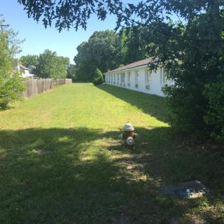 A sunny day in an outdoor area with lush green grass and a building in the background.