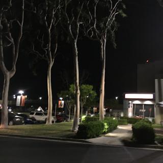 A quiet nighttime scene featuring tall trees and a well-lit pathway.
