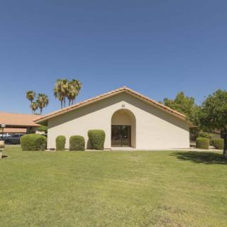A suburban house with a well-maintained lawn and palm trees.