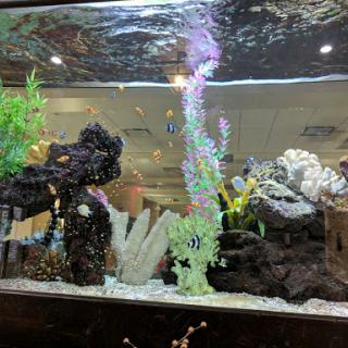 A vibrant aquarium filled with decorative rocks and artificial plants, showcasing the serene beauty of an underwater environment.
