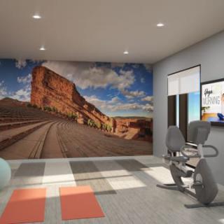 A modern home gym featuring exercise equipment, yoga mats, and a scenic mural on the wall.