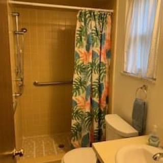 A small bathroom with a tropical-themed shower curtain, toilet, and sink.