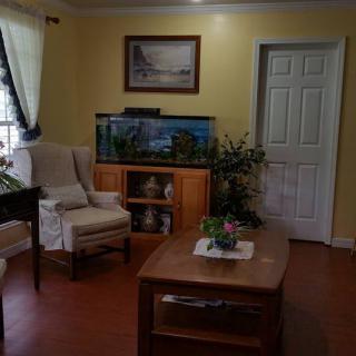 A cozy living room with an aquarium, armchair, coffee table, and indoor plants.