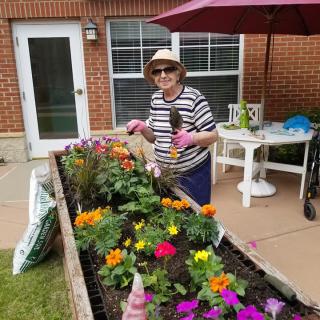 An elderly woman gardening in a raised bed filled with colorful flowers.