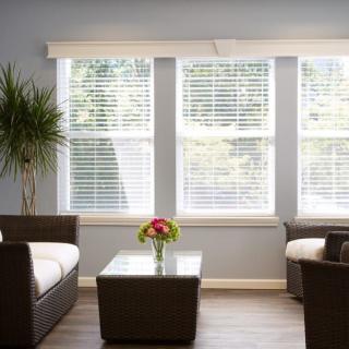 A bright and modern living room with minimalist decor, featuring a sofa set, coffee table, indoor plant, and large windows allowing plenty of natural light.