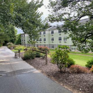 A scenic view of a pathway lined with trees and greenery, adjacent to a multi-story building.