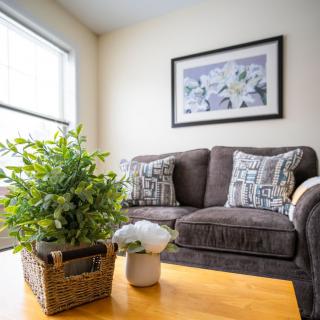 A cozy living room with a plush sofa and decorative plants on the coffee table.