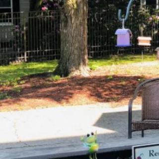 A sidewalk next to a tree and fence, featuring a chair and a bird feeder.