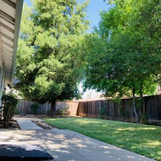 A serene backyard with lush trees and a well-maintained lawn.