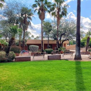 A serene outdoor space featuring lush green grass, palm trees, and a sunlit architectural backdrop.
