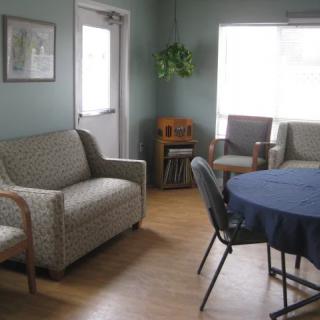 A cozy living room with sofas, chairs, a table, and a hanging plant by the window.
