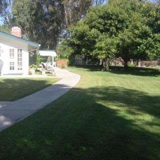 A sunny backyard with a well-manicured lawn and a winding pathway leading from the house, surrounded by lush trees.