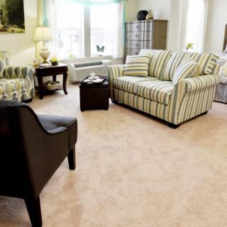 A cozy living room with striped sofas and armchairs on a carpeted floor.