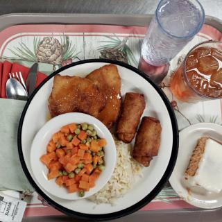 A meal served on a tray with fish, rice, spring rolls, mixed vegetables, a drink, and dessert.