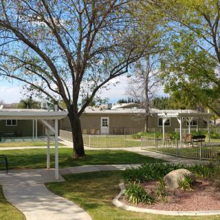 A serene park with winding pathways and lush greenery.