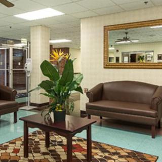 A comfortable lobby area featuring brown leather sofas, a central table with a potted plant, and a large mirror on the wall.