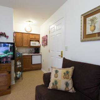 A cozy living area with a kitchenette, featuring a sofa with pineapple-themed pillows and a TV.